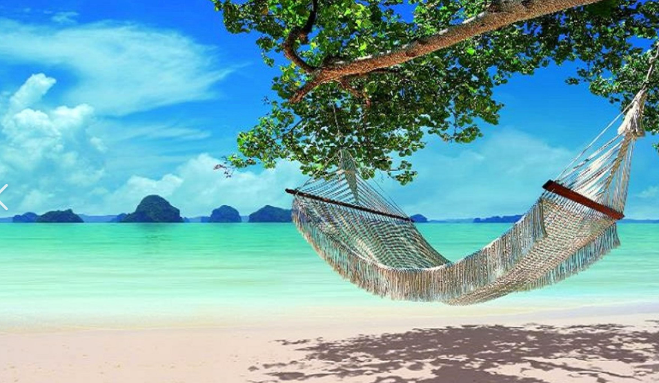 beach-with-hammock-ocean-blue-skies